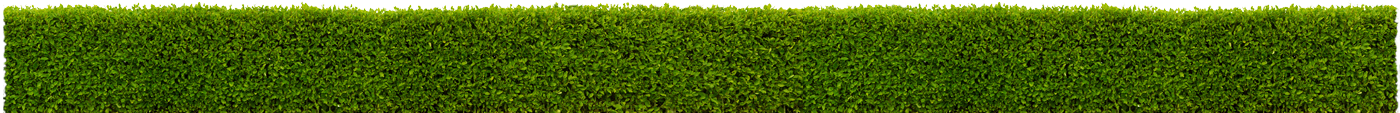 Decorative hedge element