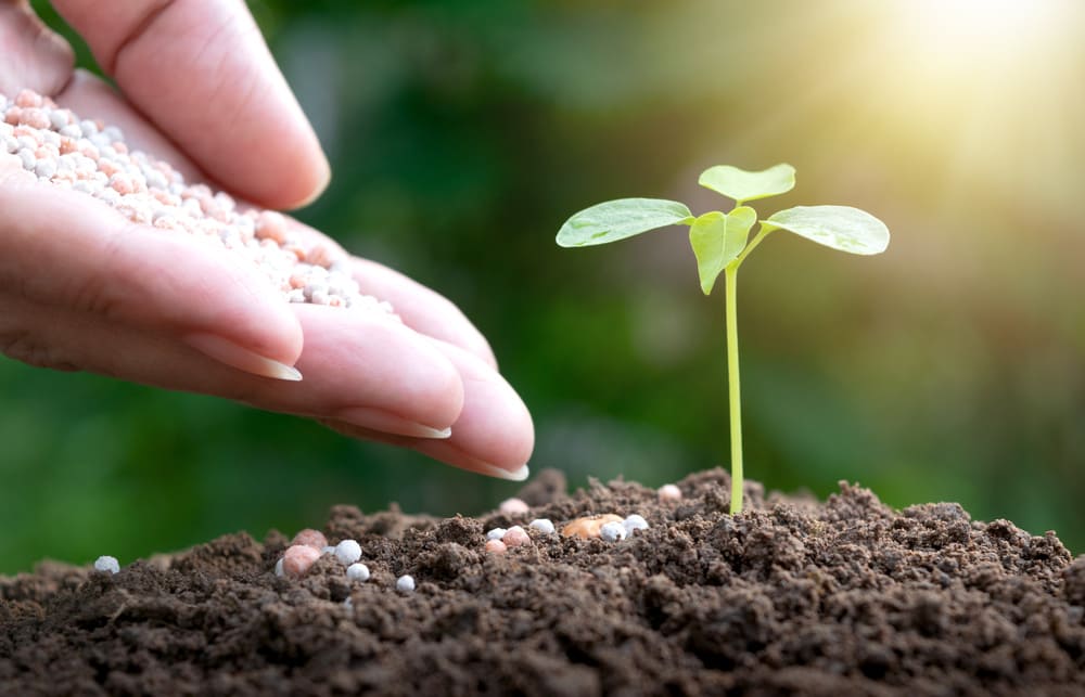 Saterplant Sustainability - We use climate-friendly fertilizers